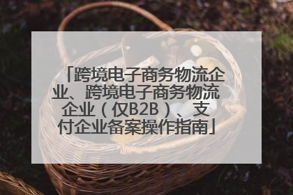 跨境电子商务物流企业、跨境电子商务物流企业（仅B2B）、支付企业备案操作指南